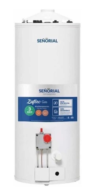 Termotanque Señorial Multigas Alta Rec. 50 Lts